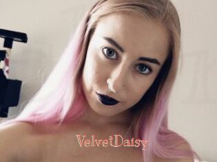 VelvetDaisy