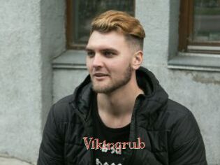 Vikingrub