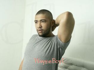 WayneBoyI