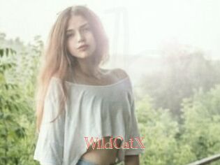 Wild_CatX