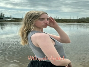 Wilonebolyard