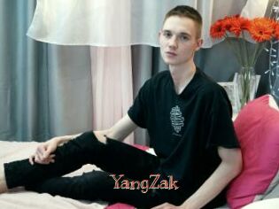 YangZak Celebrix