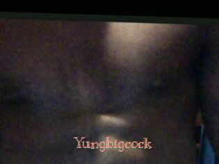 Yungbigcock